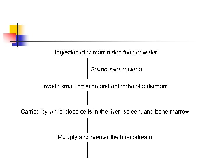 Ingestion of contaminated food or water Salmonella bacteria Invade small intestine and enter the