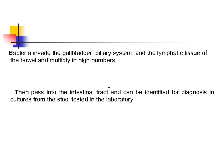  Bacteria invade the gallbladder, biliary system, and the lymphatic tissue of the bowel