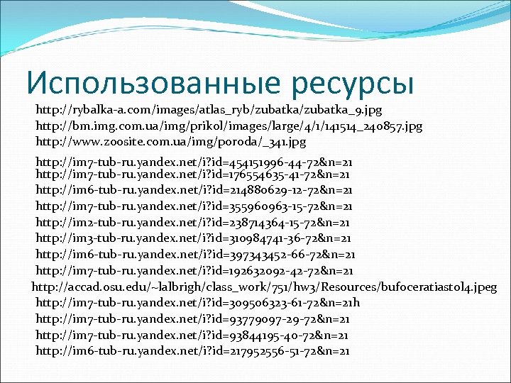 Использованные ресурсы http: //rybalka-a. com/images/atlas_ryb/zubatka_9. jpg http: //bm. img. com. ua/img/prikol/images/large/4/1/141514_240857. jpg http: //www.