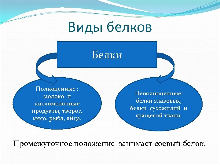 Виды белков Белки Полноценные : молоко и кисломолочные продукты, творог, мясо, рыба, яйца. Неполноценные:
