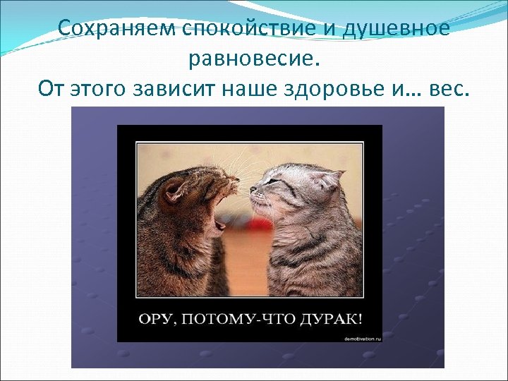 Сохраняем спокойствие и душевное равновесие. От этого зависит наше здоровье и… вес. 