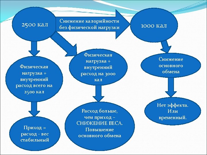 2500 кал Физическая нагрузка + внутренний расход всего на 2500 кал Приход = расход