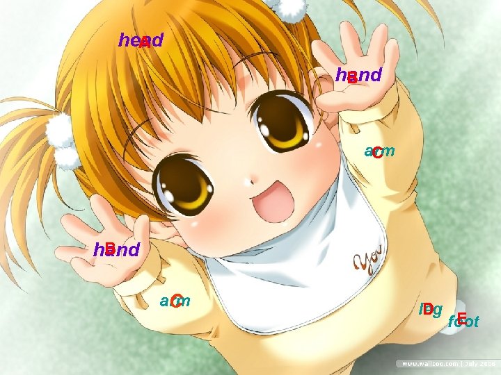 head A hand B arm C B hand arm C leg D E foot