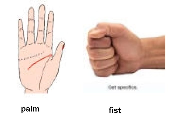 palm fist 