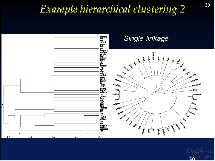 Example hierarchical clustering 2 30 Single-linkage Cog. Nova Technologies 