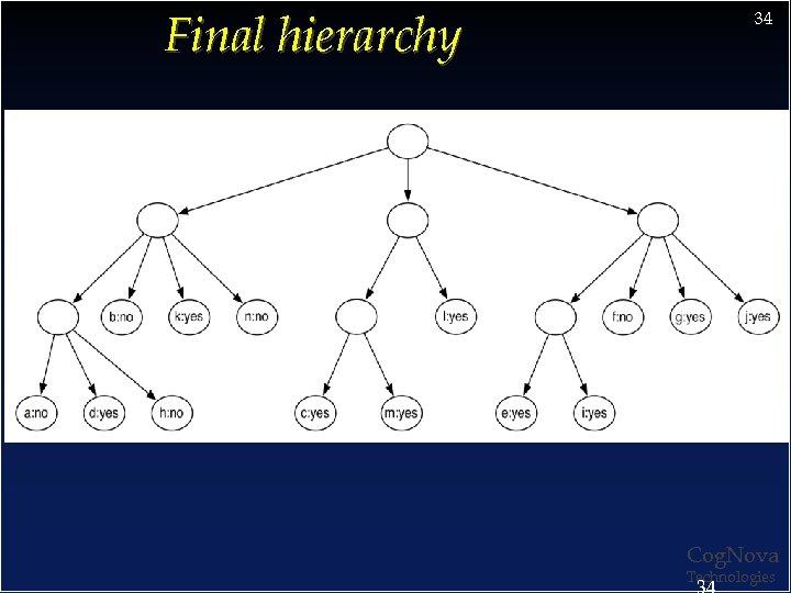 Final hierarchy 34 Cog. Nova Technologies 