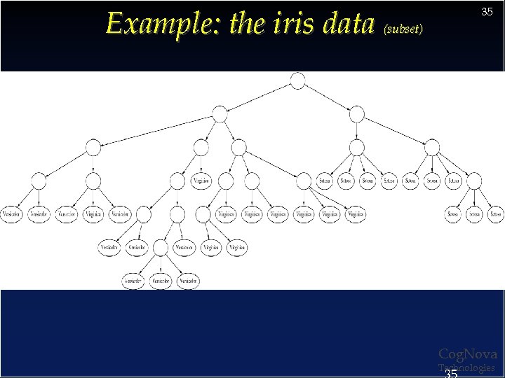 Example: the iris data (subset) 35 Cog. Nova Technologies 