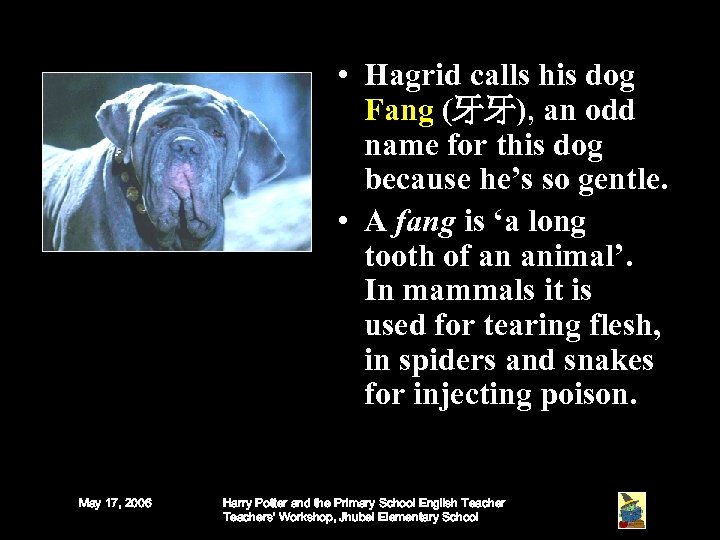  • Hagrid calls his dog Fang (牙牙), an odd name for this dog