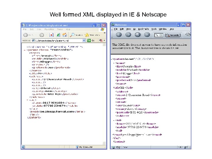 Well formed XML displayed in IE & Netscape 