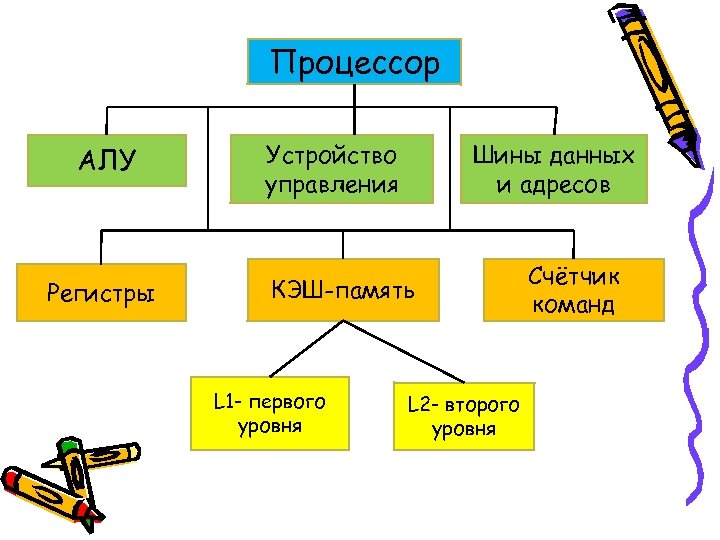 Процессор АЛУ Регистры Устройство управления Шины данных и адресов КЭШ-память L 1 - первого