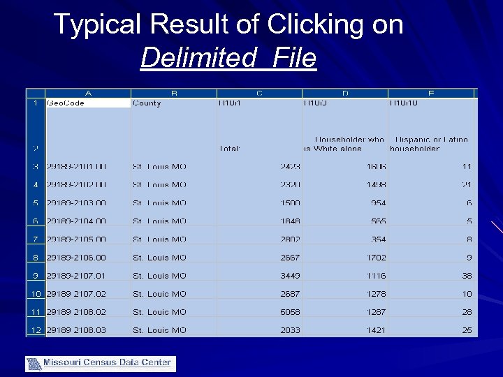 Typical Result of Clicking on Delimited File 