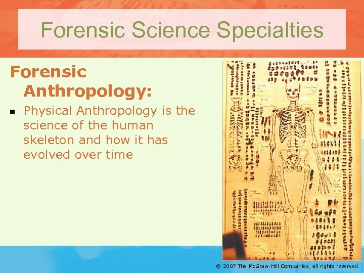 Forensic Science Specialties Forensic Anthropology: n Physical Anthropology is the science of the human