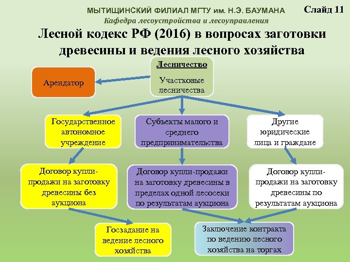 МЫТИЩИНСКИЙ ФИЛИАЛ МГТУ им. Н. Э. БАУМАНА Слайд 11 Лесной кодекс РФ (2016) в