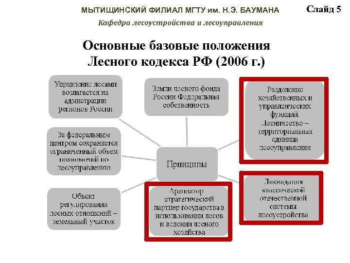 МЫТИЩИНСКИЙ ФИЛИАЛ МГТУ им. Н. Э. БАУМАНА Основные базовые положения Лесного кодекса РФ (2006