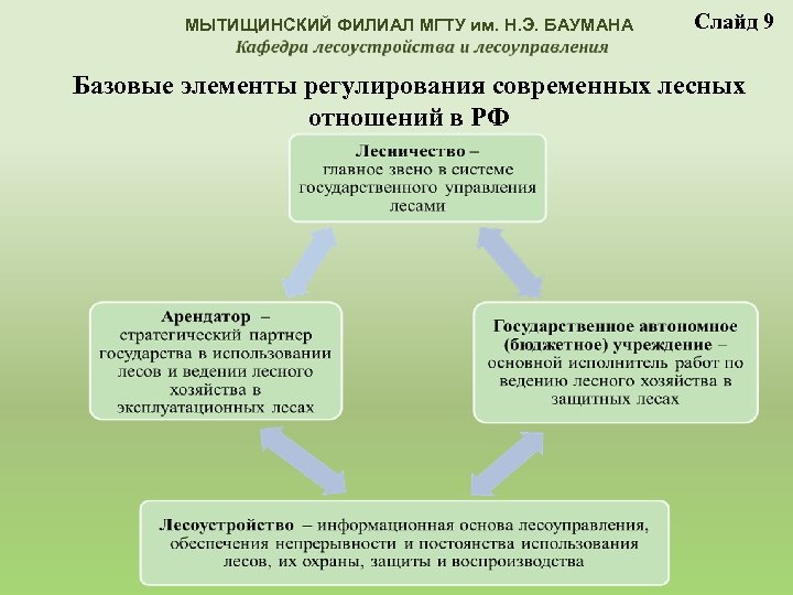 МЫТИЩИНСКИЙ ФИЛИАЛ МГТУ им. Н. Э. БАУМАНА Слайд 9 Базовые элементы регулирования современных лесных