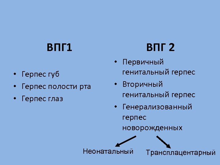 ВПГ 1 ВПГ 2 • Герпес губ • Герпес полости рта • Герпес глаз