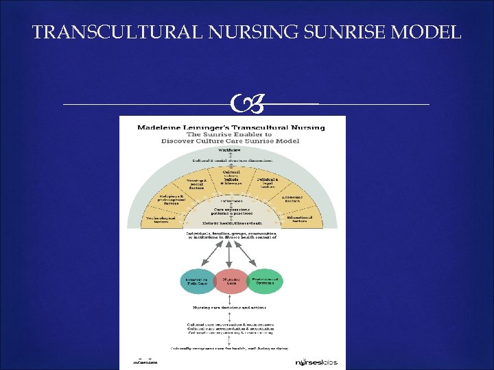 TRANSCULTURAL NURSING SUNRISE MODEL 