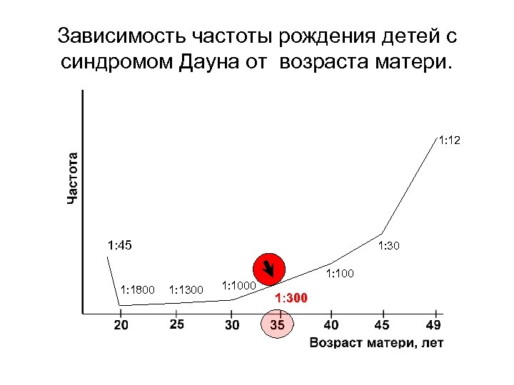 Зависимость частоты рождения детей с синдромом Дауна от возраста матери. 1: 12 1: 45