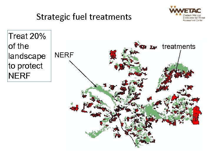 Strategic fuel treatments Treat 20% of the landscape NERF to protect NERF treatments 