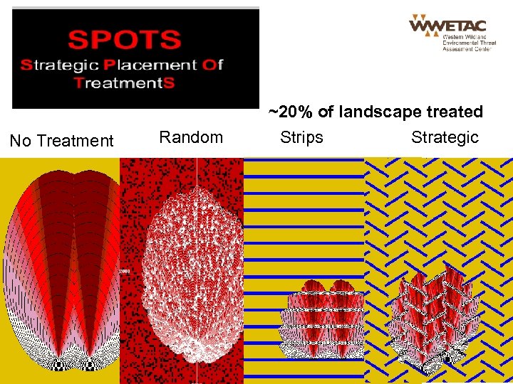 No Treatment Random ~20% of landscape treated Strips Strategic 