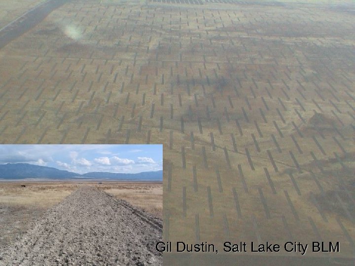 Gil Dustin, Salt Lake City BLM 