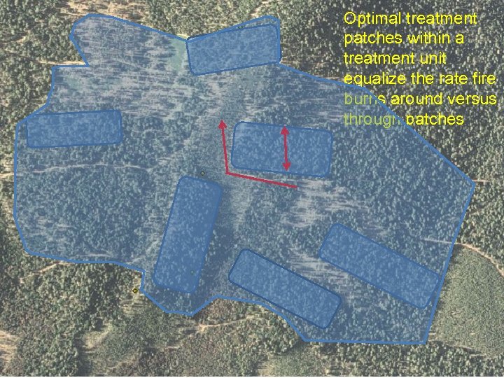 Optimal treatment patches within a treatment unit equalize the rate fire burns around versus