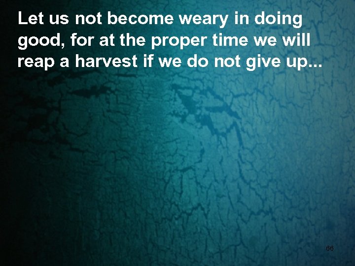 Let us not become weary in doing good, for at the proper time we