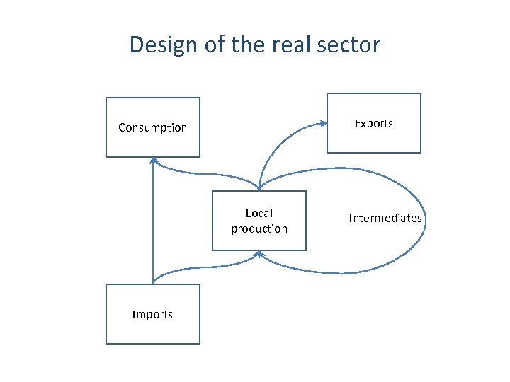 Design of the real sector Exports Consumption Local production Imports Intermediates 