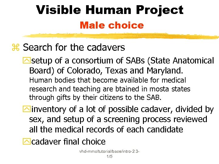 Visible Human Project Male choice z Search for the cadavers ysetup of a consortium