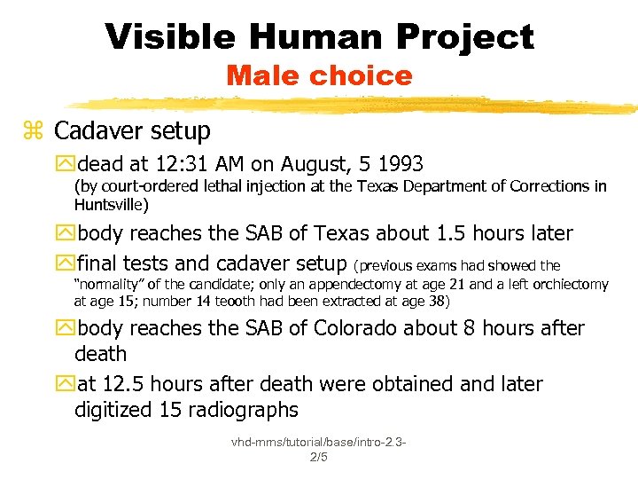 Visible Human Project Male choice z Cadaver setup ydead at 12: 31 AM on