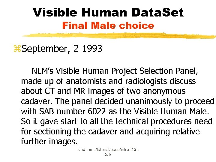 Visible Human Data. Set Final Male choice z. September, 2 1993 NLM’s Visible Human