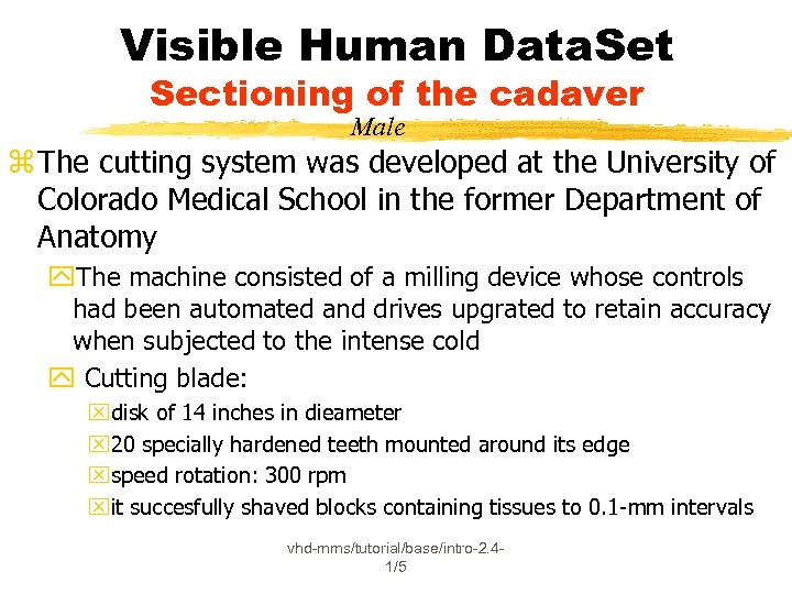 Visible Human Data. Set Sectioning of the cadaver Male z The cutting system was