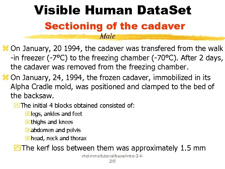 Visible Human Data. Set Sectioning of the cadaver Male z On January, 20 1994,