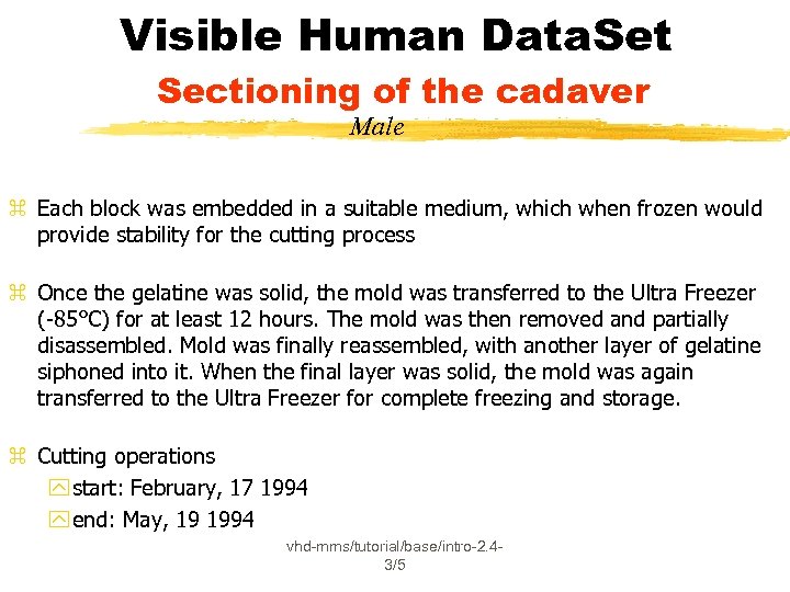 Visible Human Data. Set Sectioning of the cadaver Male z Each block was embedded