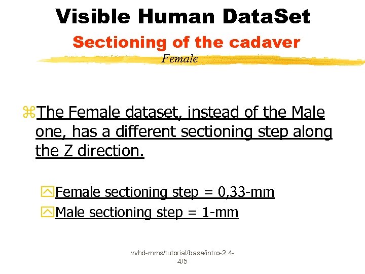 Visible Human Data. Set Sectioning of the cadaver Female z. The Female dataset, instead