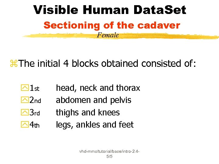 Visible Human Data. Set Sectioning of the cadaver Female z. The initial 4 blocks