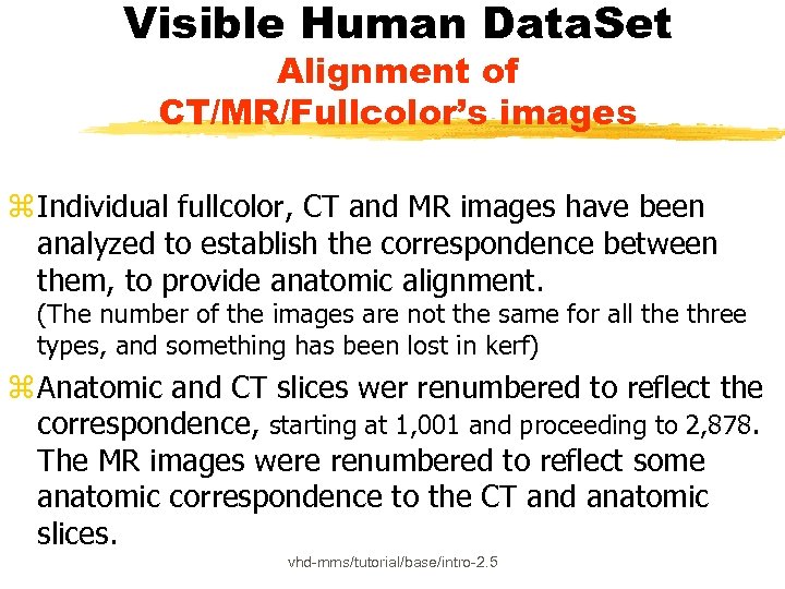 Visible Human Data. Set Alignment of CT/MR/Fullcolor’s images z Individual fullcolor, CT and MR