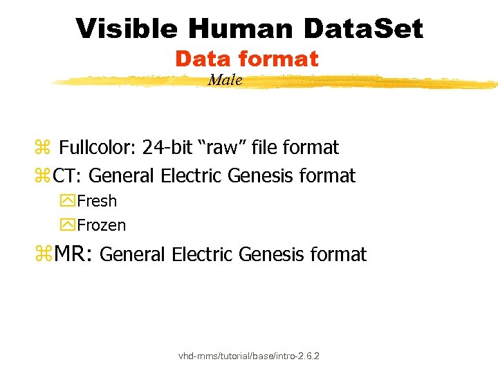 Visible Human Data. Set Data format Male z Fullcolor: 24 -bit “raw” file format