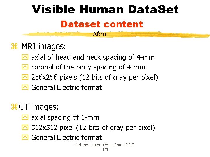 Visible Human Data. Set Dataset content Male z MRI images: y y axial of