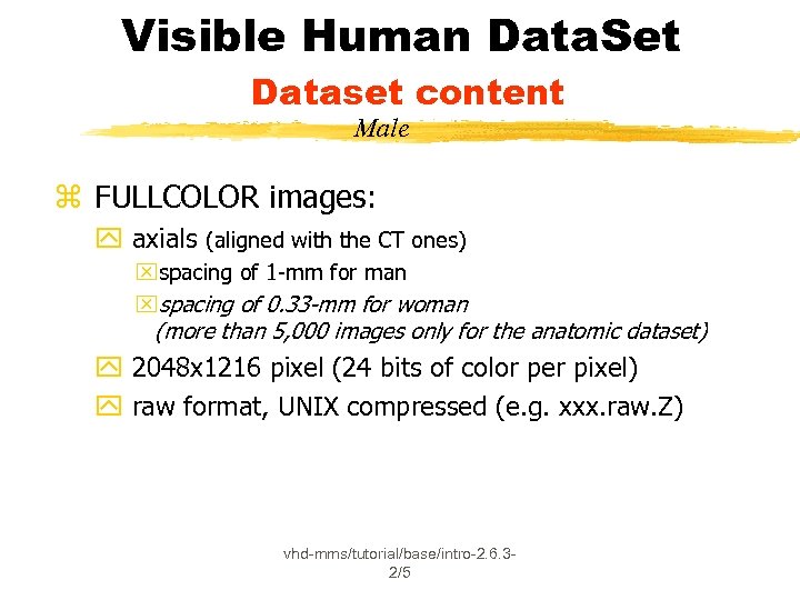 Visible Human Data. Set Dataset content Male z FULLCOLOR images: y axials (aligned with