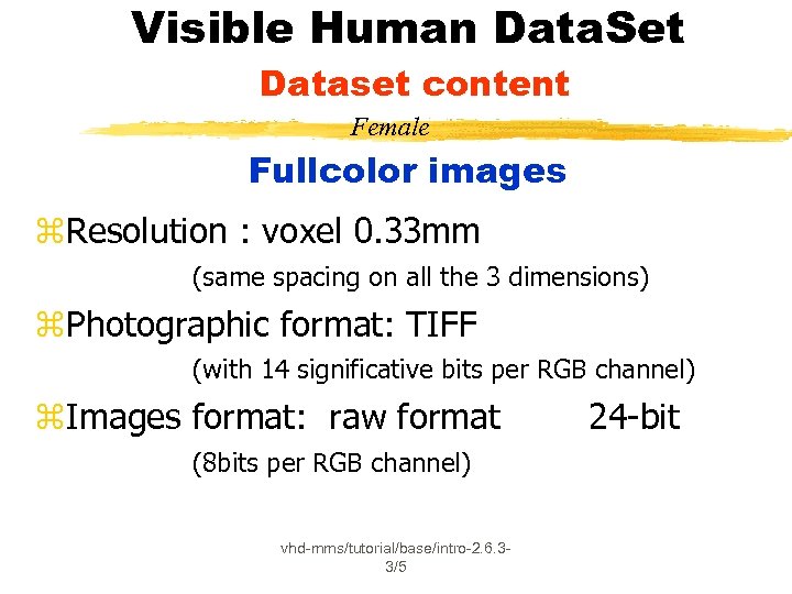 Visible Human Data. Set Dataset content Female Fullcolor images z. Resolution : voxel 0.