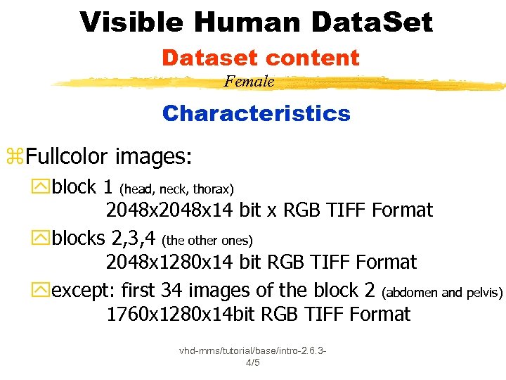 Visible Human Data. Set Dataset content Female Characteristics z. Fullcolor images: yblock 1 (head,