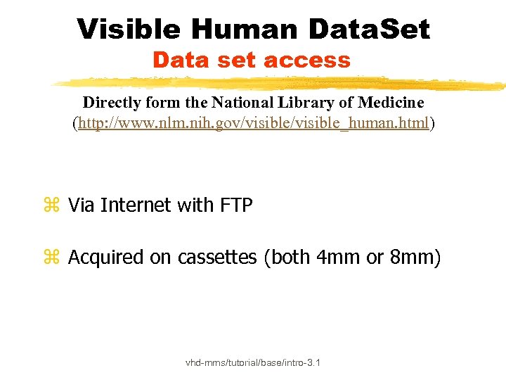 Visible Human Data. Set Data set access Directly form the National Library of Medicine