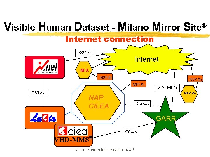 Visible Human Dataset - Milano Mirror Site® Internet connection >8 Mb/s Internet MIX NSP