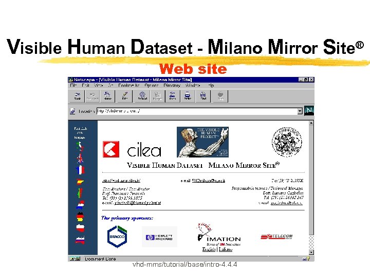 Visible Human Dataset - Milano Mirror Site® Web site vhd-mms/tutorial/base/intro-4. 4. 4 