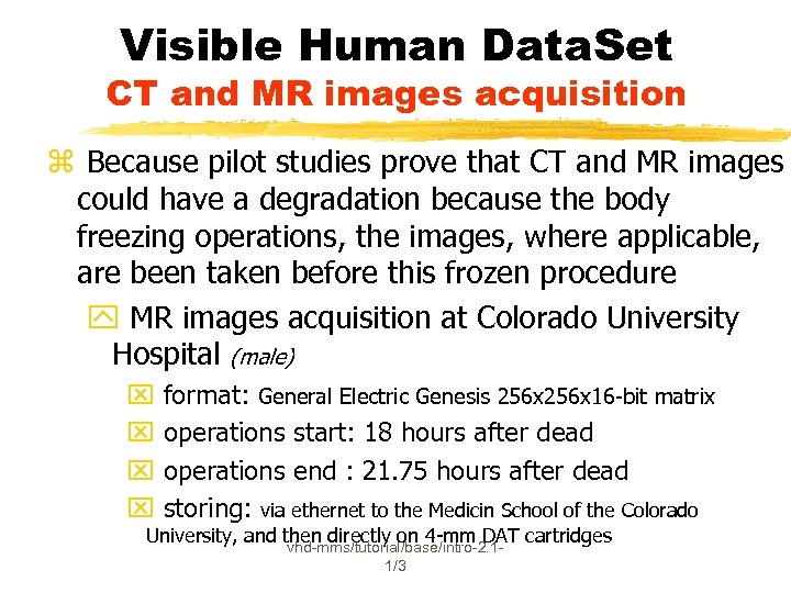 Visible Human Data. Set CT and MR images acquisition z Because pilot studies prove