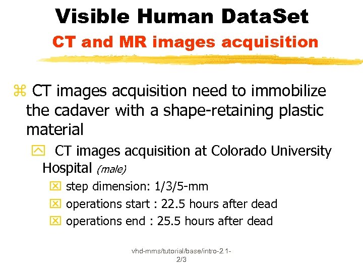 Visible Human Data. Set CT and MR images acquisition z CT images acquisition need