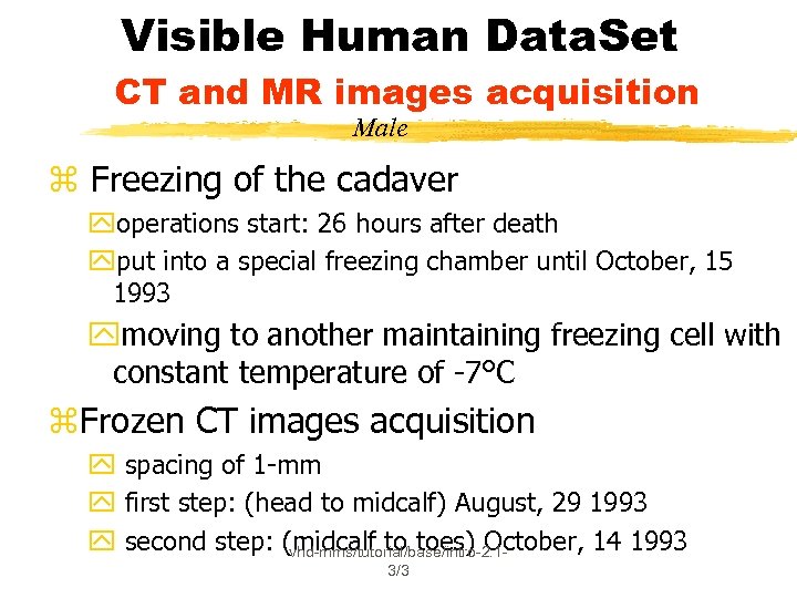 Visible Human Data. Set CT and MR images acquisition Male z Freezing of the