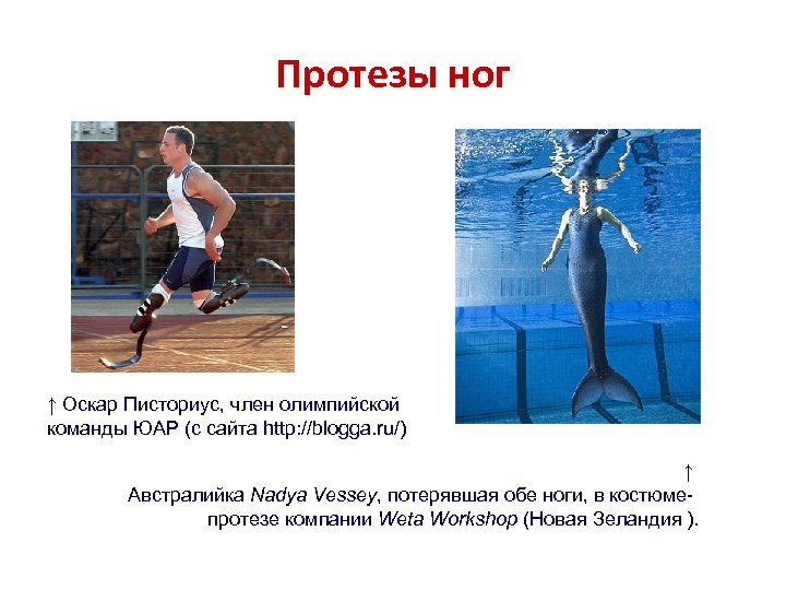 Протезы ног ↑ Оскар Писториус, член олимпийской команды ЮАР (с сайта http: //blogga. ru/)