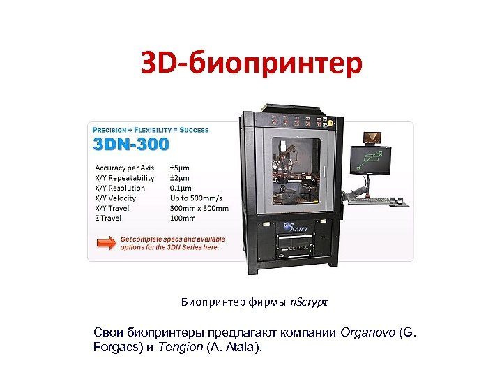 3 D-биопринтер Биопринтер фирмы n. Scrypt Свои биопринтеры предлагают компании Organovo (G. Forgacs) и